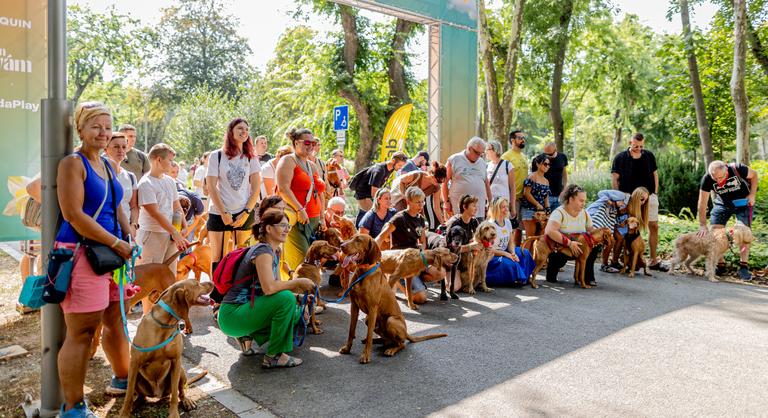 Igazi kutyaünnepet varázsoltak a Városligetben