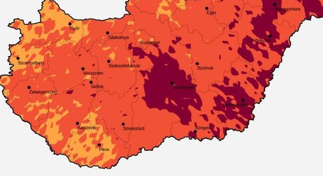 Még magas a pollenterhelés, de hamarosan enyhülhetnek az allergiás tünetek