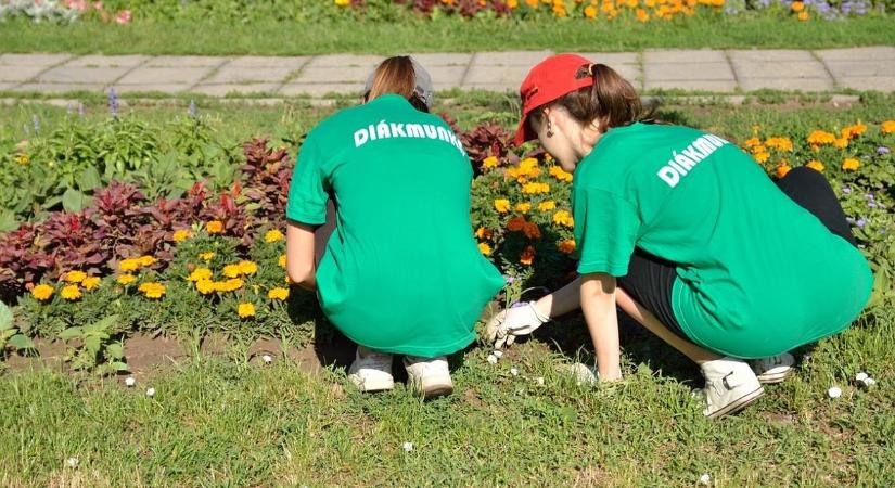 Ezen a nyáron a munkával estek szerelembe a diákok