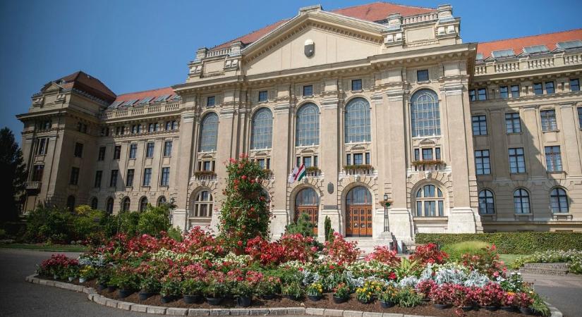 Ezüst minősítés Debrecennek a nemzetközi virágosító versenyen