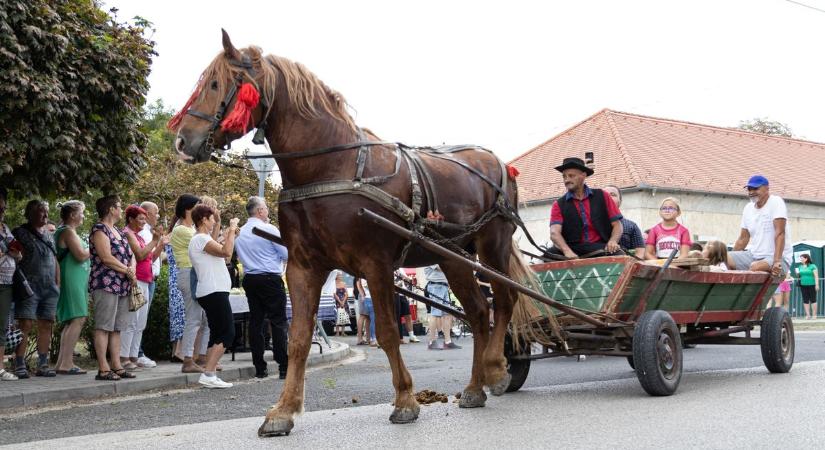 Felvonultak a lovasok, koncertet adott a Ladánybene 27 a szőnyi szüreten