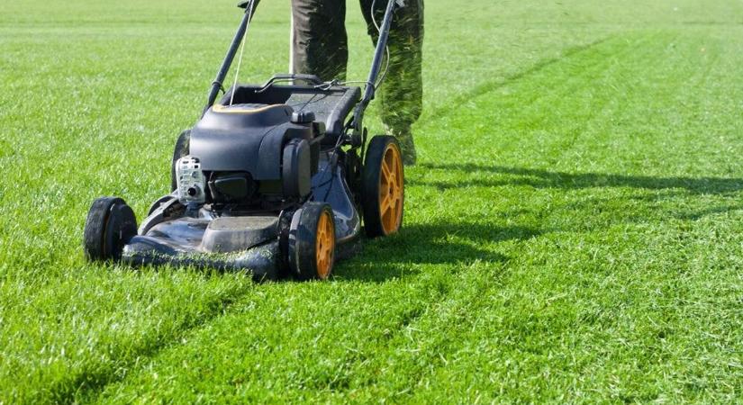 14 tipp, hogy ősszel is gyönyörű legyen a kertedben a fű