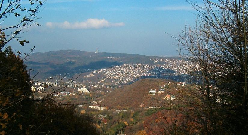 Hatmillió érdekes ötlettel szembesült a Hegyvidék kutyapárti polgármestere turul ügyben, itt a legkreatívabb