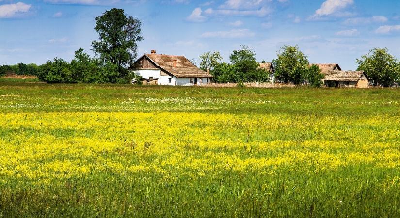 Kipakolt egy tanyát négy férfi Csongrád-Csanádban