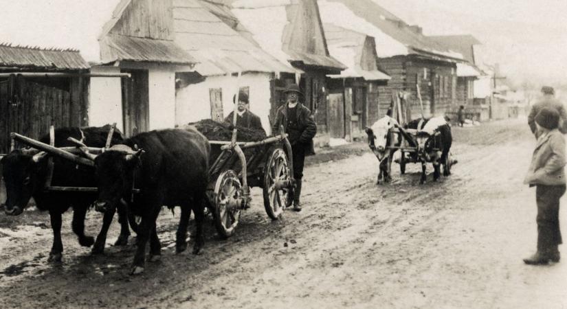 A többségnek már fogalma sincs, mit jelentenek a következő szavak