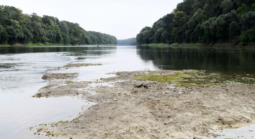 Bármikor elnyelheti a Tisza: ismerje meg a cibakházi sziget lenyűgöző világát – galériával!