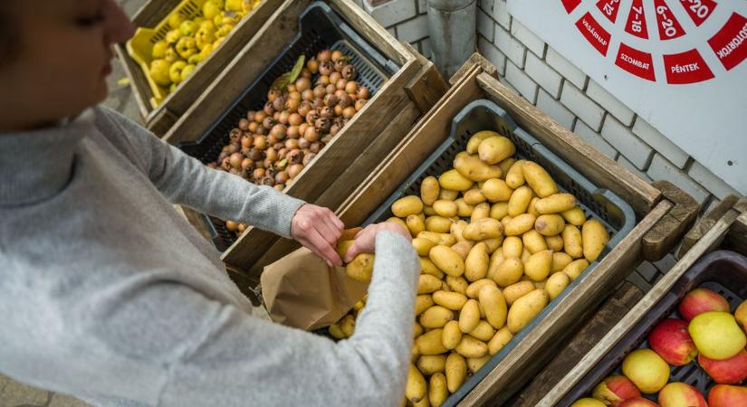 Az infláció mértéke augusztusban az idei mélypontjára süllyedt