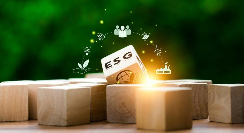 Fenntarthatóság és ESG – Beszéljünk róla! De miről is?