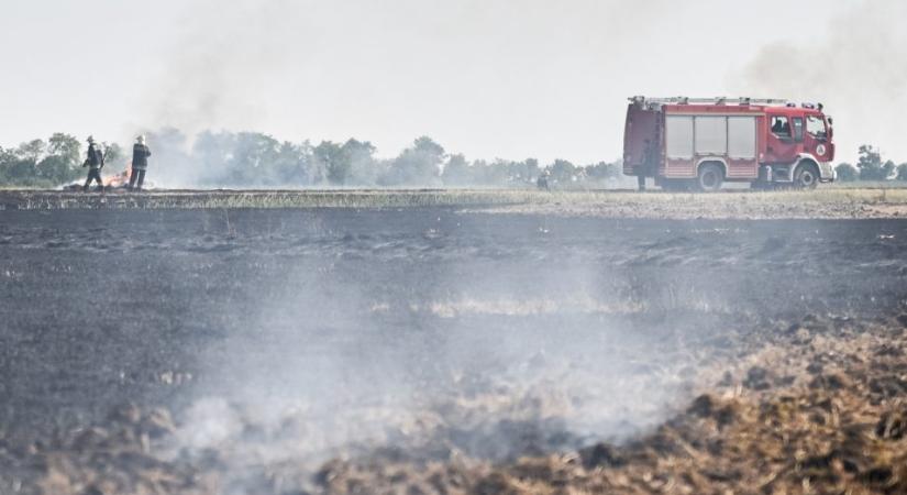 Két hektáron lángolt a tarló Makónál