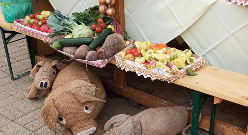 Értékeket, finomságokat kínálnak az Erzsébet téren