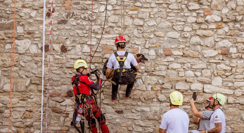 Kutyamentés kötélből – különleges mentőcsapatok versenyeztek a Budavári Palotanegyedben