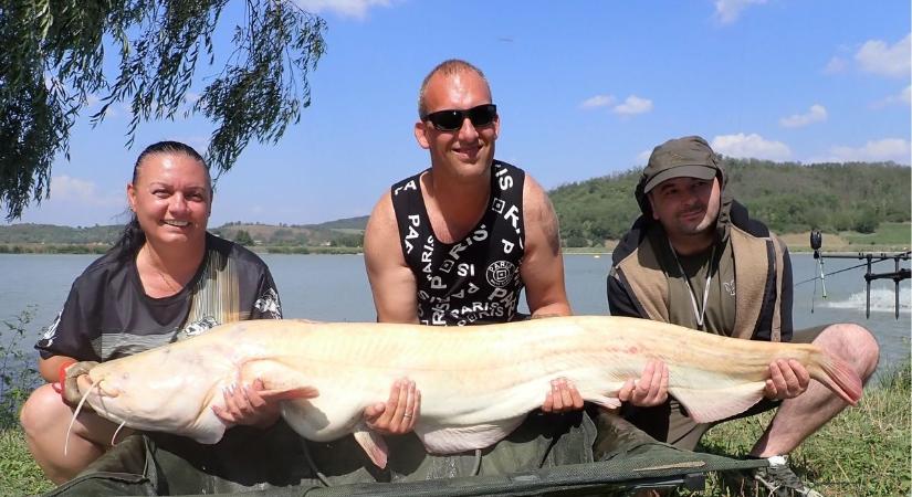 Gigantikus fehér harcsát fogott ki a horgásznő Maconkán