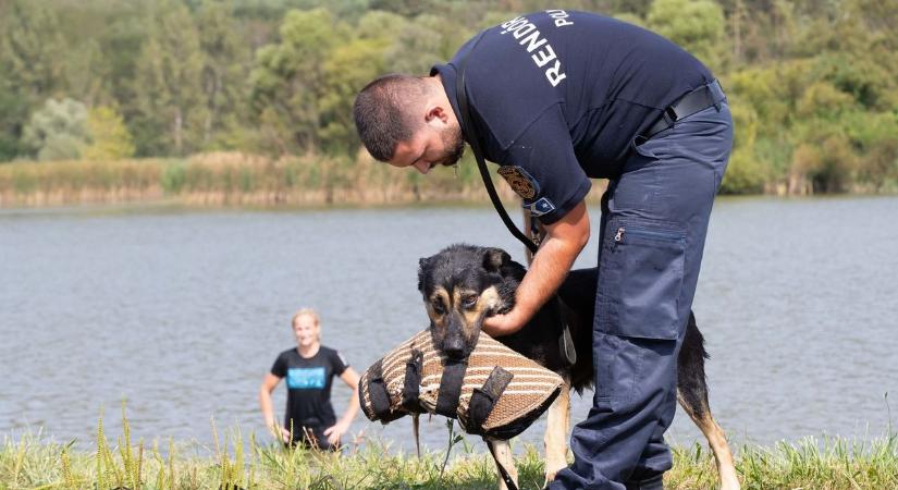 Ellepték a rendőrkutyák a Maconkai-víztározó környékét (fotók)