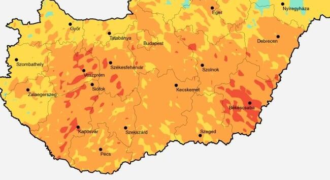 Parlagfű pollenkoncentráció - Az allergiások fellélegezhetnek egy kicsit