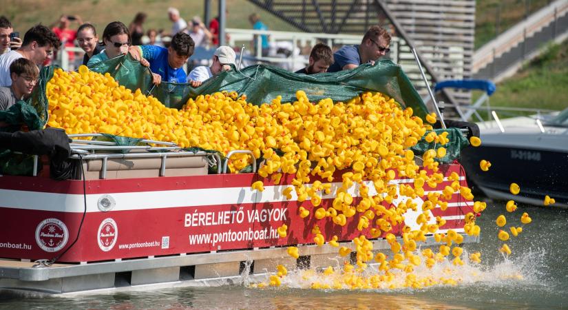 Több mint 3,5 millió forintot „úsztak össze” a gumikacsák