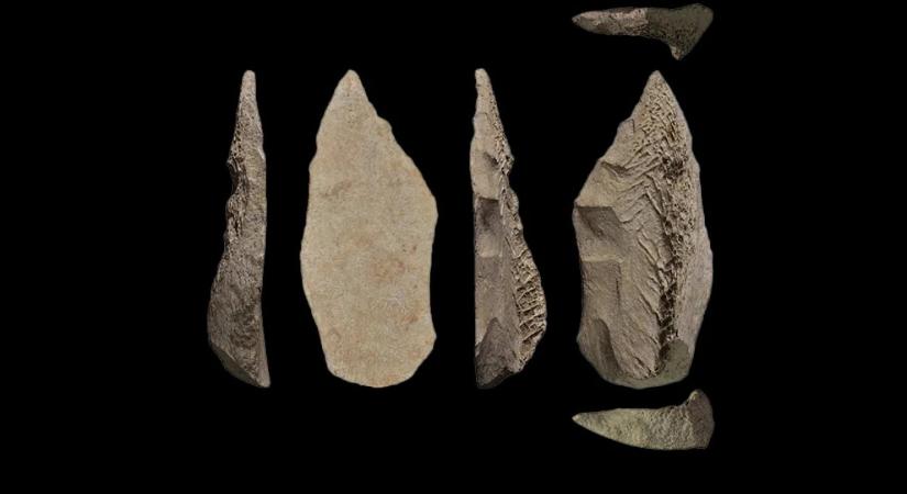 Egy ötvenezer éves csont lándzsahegy arról árulkodik, hogy a neandervölgyi ősember nem csak kő eszközöket volt képes előállítani