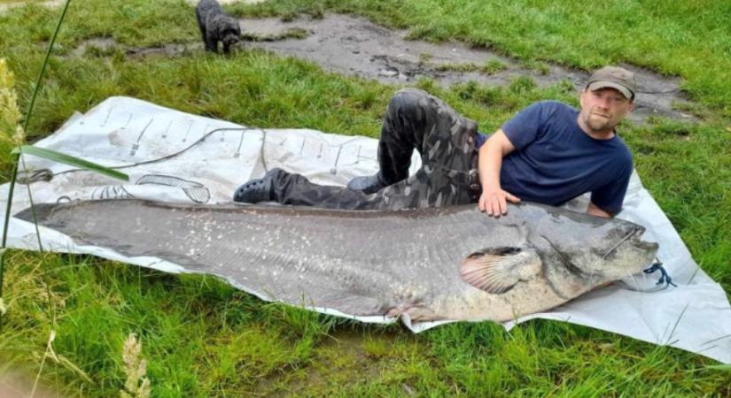 Íme a hazai vizekben fogott legnagyobb halak listája