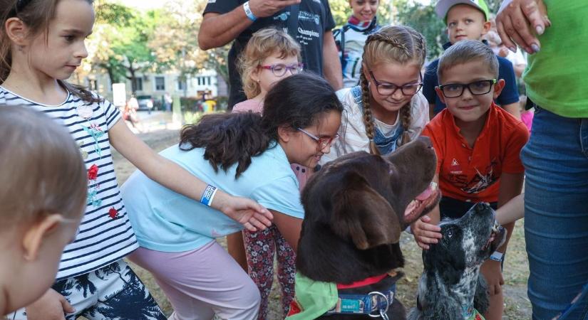 Hot doggal és gofrival várták a szemüveges gyerekeket