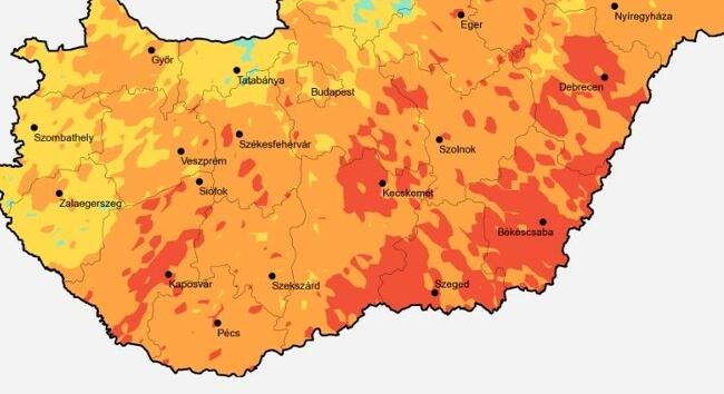 Parlagfű pollenterhelés: A parlagfűre érzékenyeknek még lehetnek tüneteik