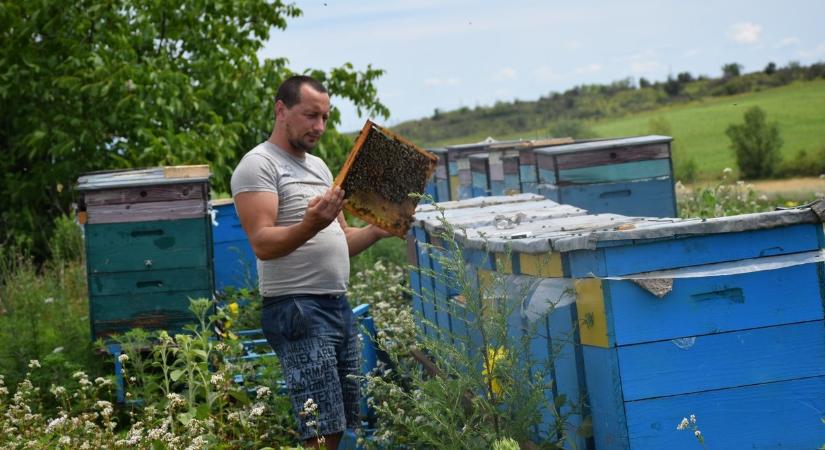 Végéhez közeledik a mézgyűjtési szezon - A betelelés nem rutin munka