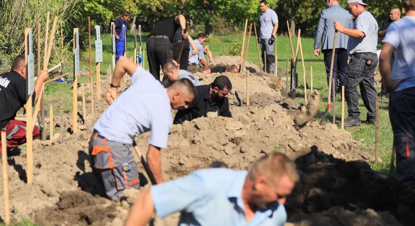 Sírások versenyeztek a pécsi temetőben, tatabányaiak is lapátot ragadtak