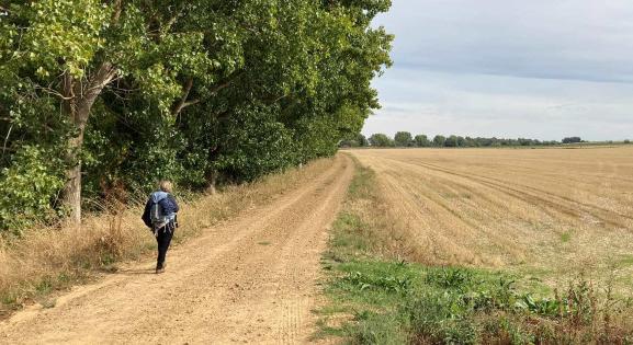 Találkozás Conchitával és a madridi út vége – az El Caminóról jelentjük