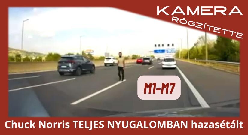 Chuck Norris hazasétált! Az M1-M7 közös szakaszán…