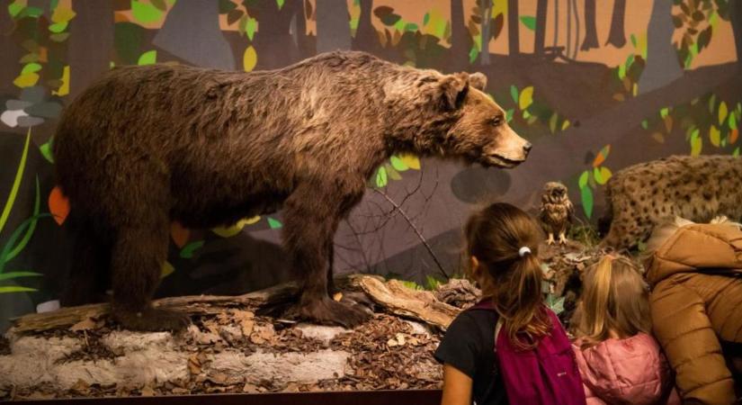 Váratlanul visszavonták a természettudományi múzeum új épületének pályázatát