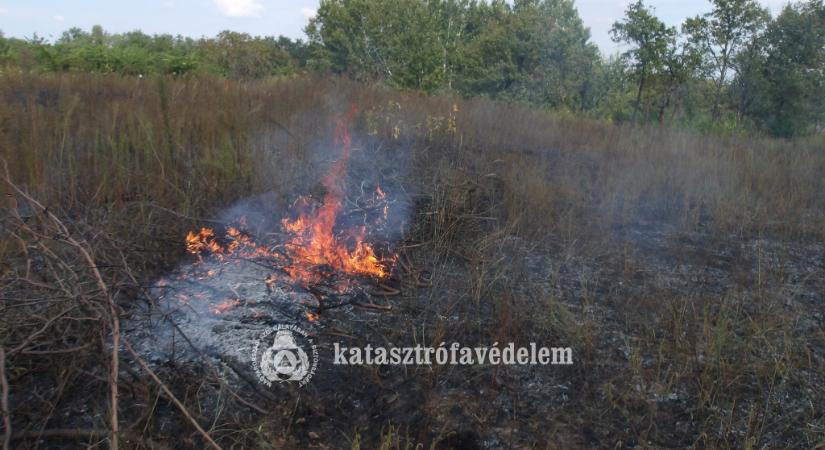 Kigyulladt a bozót Hajdúböszörményben