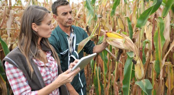 Teljesülnek az év eleji agrártüntetések követelései?