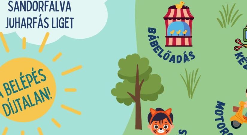 Megtartják a családi napot Sándorfalván