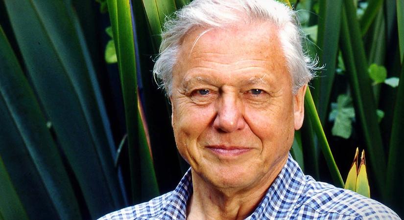 David Attenborough a világ leghíresebb természettudósa: így néz ki 98 évesen