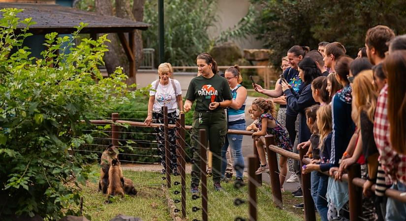 Őszi Esti Sétára hívja az érdeklődőket a Zoo Debrecen