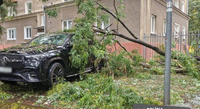 Péntek reggeltől 24-szer riasztották a tűzoltókat az időjárás miatt Nagyszombat megyében