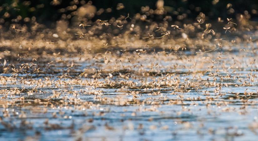 Kiadták a figyelmeztetést: komoly árhullám várható ezeken a folyókon