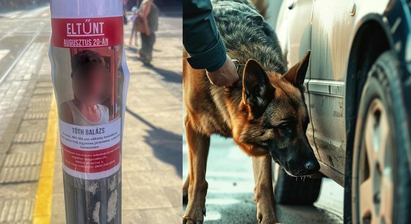 „Nem biztos, hogy öngyilkos lett” - Megszólalt az eltűnt, majd holtan talált Balázs édesanyja