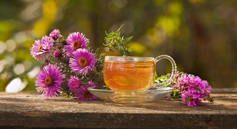 Tucatnyi gyógynövényes tea az őszi gondokra