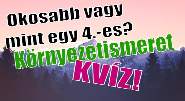 Kvíz: Vagy olyan okos mint egy 4.-es? 10 kvízkérdés környezetismeret óráról. Emlékszel a tananyagra?