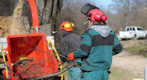 Dolgoznak a város parkjain – és mi is segíthetünk