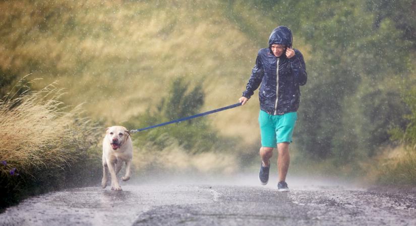 Középkori állapotokat hozott a gigavihar: van, ahol több tízezer háztartás maradt áram nélkül