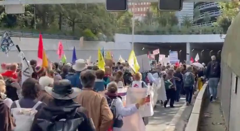 A rendőrök hagyták, hogy a klímavédők lezárják az autópályát