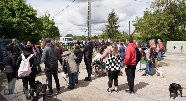 Több mint ötvenmillió forintnyi adófelajánlást kapott a győri állatmenhely