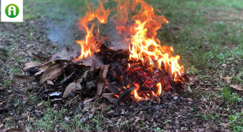 Óriási bírságokat kaphatnak a kerttulajdonosok