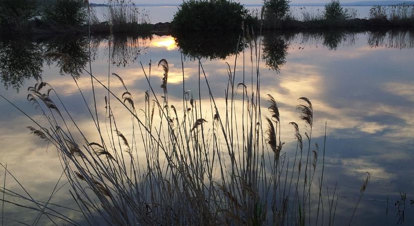 Túl sok a műanyag a hazai természetes vizekben – ennyi szemetet találtak a Balatonban