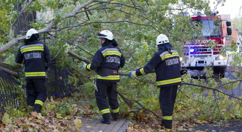 Folytatódott a viharos időjárás által okozott károk elhárítása