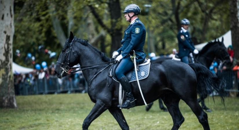 Nyolc országból érkeznek lovas rendőrök Magyarországra