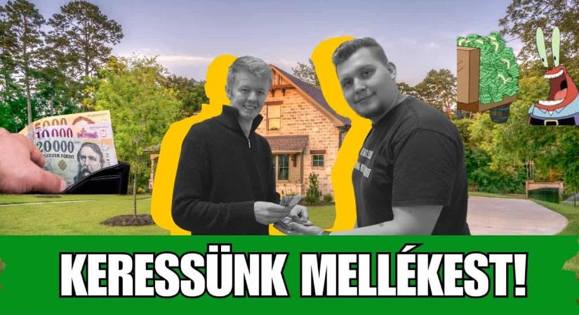 Pénzkeresés munka mellett. Üzleti ötletek mindenkinek 1. rész – Mellékes by Minner