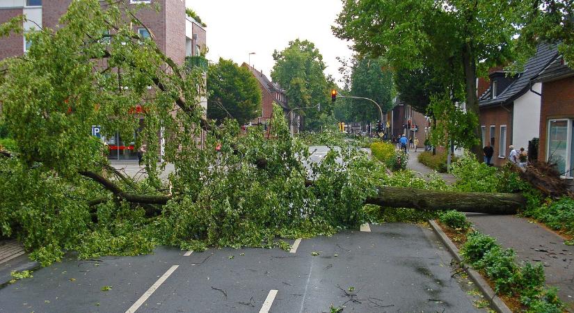 Kidőlt fák, leszakadt vezetékek, cserepek parkoló autókban - "kis" katasztrófavédelmi összefoglaló