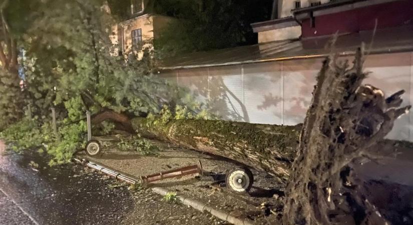 Gőzerővel zajlik a kárelhárítás az éjszakai viharok után