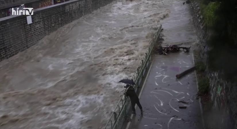 Elemi erővel zúdul Bécs folyója, a Wien - látványos videón a brutális áradás